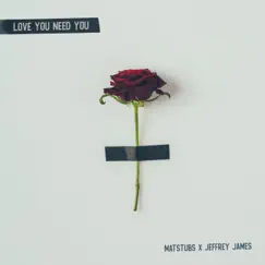 Love You Need You - Single by Matstubs & Jeffrey James album reviews, ratings, credits