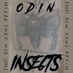 Insects - Single by Ødin album reviews, ratings, credits