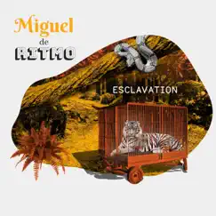 Esclavation (feat. Yehezkel Raz) - Single by Miguel de Ritmo album reviews, ratings, credits