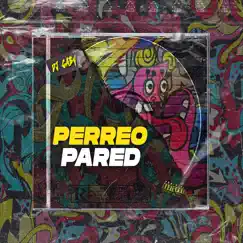 Perreo Pared (Remix) - Single by Dj Gaby album reviews, ratings, credits