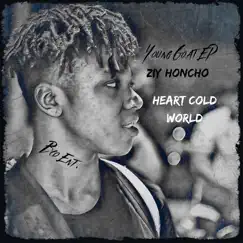 Heart Cold World - Single by Ziy Honcho album reviews, ratings, credits
