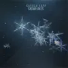 Snowflakes - Single album lyrics, reviews, download