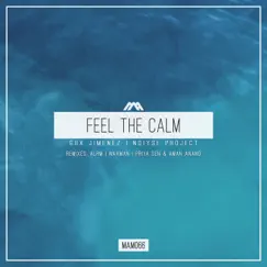 Feel the Calm (Priya Sen & Aman Anand Remix) Song Lyrics