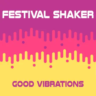 Download Good Vibrations (Extended Mix) Festival Shaker MP3