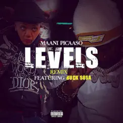 Levels Song Lyrics