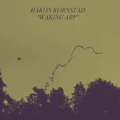 Walking Arp - Single by Håkon Kornstad album reviews, ratings, credits