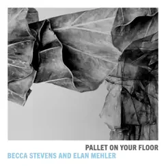 Pallet on Your Floor by Becca Stevens & Elan Mehler album reviews, ratings, credits