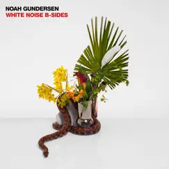 White Noise B-Sides by Noah Gundersen album reviews, ratings, credits