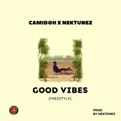 Good Vibes Song Lyrics