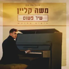 שיר פשוט - Single by Moshe Klein album reviews, ratings, credits