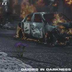 Daisies In Darkness - Single by Dylan Jordan album reviews, ratings, credits