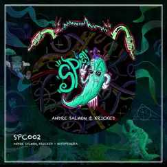 Hipotenuza - Single by Andre Salmon & Kricked album reviews, ratings, credits
