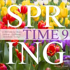 Spring Time, Vol. 9 - 18 Premium Trax: Chillout, Chillhouse, Downbeat, Lounge by Various Artists album reviews, ratings, credits