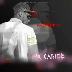 Mr Cabide - EP by Padrefox album reviews, ratings, credits