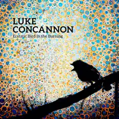 Ecstatic Bird in the Burning (US Version) by Luke Concannon album reviews, ratings, credits