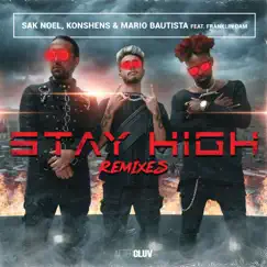 Stay High (feat. Franklin Dam, Debris & Hypnotune) [Debris-Hypnotune Remix] Song Lyrics
