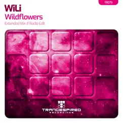 Wildflowers (Extended Mix) Song Lyrics