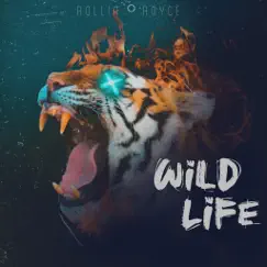 Wildlife - Single by Rollin Royce album reviews, ratings, credits