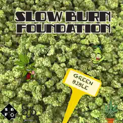 Green Bible - Single by Slow Burn Foundation album reviews, ratings, credits