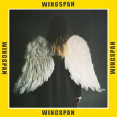 Wingspan Song Lyrics