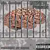 Mental Prison song lyrics