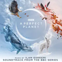 A Perfect Planet Song Lyrics