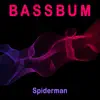 Spiderman - Single album lyrics, reviews, download