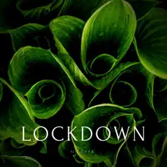 Lockdown - Single by Nicorxb album reviews, ratings, credits