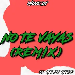 No Te Vayas (feat. Marcos Garbe) - Single [Remix] - Single by Migue DJ album reviews, ratings, credits