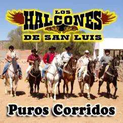 Puros Corridos by Los Halcones de San Luis album reviews, ratings, credits