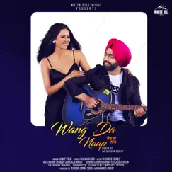 Wang da Naap (Remix Version) - Single by Ammy Virk album reviews, ratings, credits