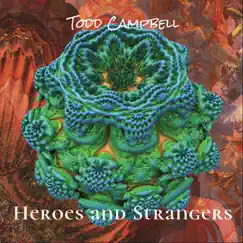 Heroes and Strangers by Todd Campbell album reviews, ratings, credits