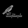 Nightingale - Single album lyrics, reviews, download