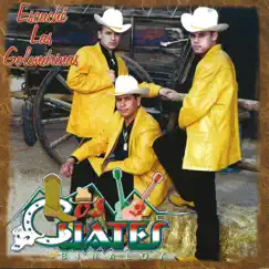 Escuche Las Golondrinas by Los Cuates de Sinaloa album reviews, ratings, credits