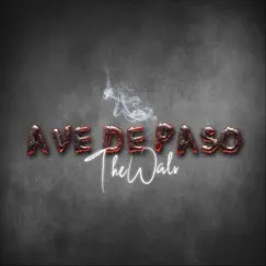 Ave de Paso Song Lyrics