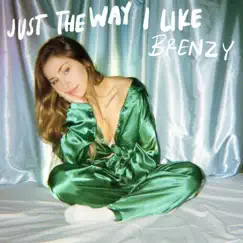 Just the Way I Like - Single by Brenzy album reviews, ratings, credits