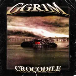 Crocodile - Single by Ggrim album reviews, ratings, credits
