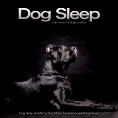 Dog Sleep: Calm Music For Dogs and Pets by Dog Sleep Academy, Dog Music Experience & Dog Music album reviews, ratings, credits