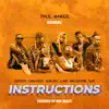 Instructions (feat. Salmin Swaggz, Lil Dwin, Country Boy, Young Lunya, Moni Centrozone & Deddy) - Single album lyrics, reviews, download