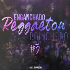 Enganchado Reggaeton Bolichero #5 - Single by Alex Suarez Dj album reviews, ratings, credits