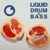 Liquid Drum & Bass Sessions 2020 Vol 32 album lyrics, reviews, download