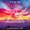 It's Not You - Single album lyrics, reviews, download