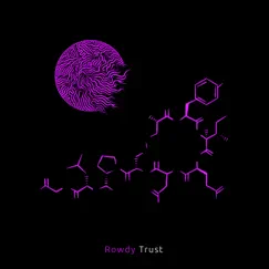 Trust - Single by Rowdy album reviews, ratings, credits