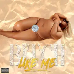 Bitch Like Me - Single by Akbar V album reviews, ratings, credits