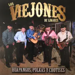 Huapangos, Polkas y Chotises by Los Viejones De Linares album reviews, ratings, credits