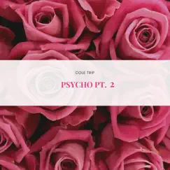 Psycho, Pt. 2 (Acoustic) Song Lyrics