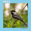 Singing Birds in Nature album lyrics, reviews, download