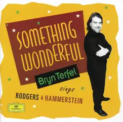 Something Wonderful: Bryn Terfel Sings Rodgers & Hammerstein by Bryn Terfel, English Northern Philharmonia & Paul Daniel album reviews, ratings, credits