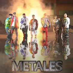 Metales (feat. AndreikMusic, DashMusic, DogCrazy, LuizzitoEdi, Milan & Russel) Song Lyrics