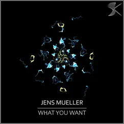 What You Want - Single by Jens Mueller album reviews, ratings, credits